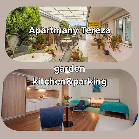 Apartmany Tereza & Free Parking Bratislava Ngoại thất bức ảnh